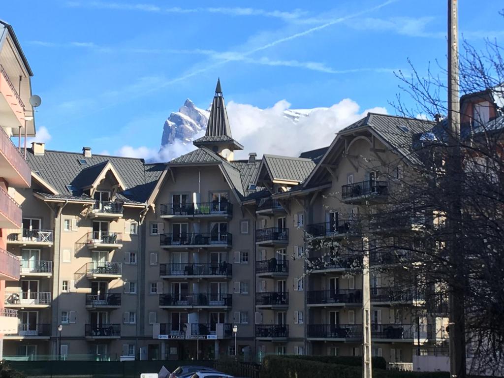 Appartement T2cabine independante au depart des telecabines Saint GervaisBettexMont dArbois appartement pied des pistes 3