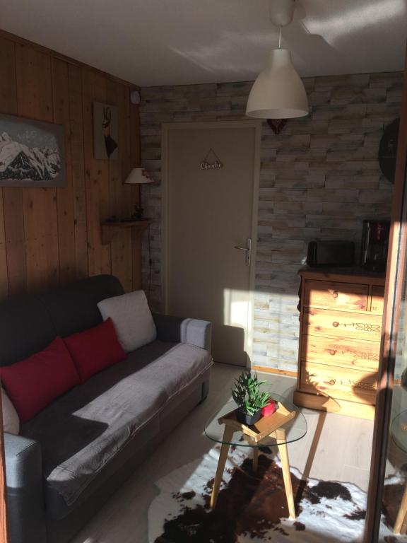 Appartement cosy 27 m2 ideal 5 personnes appartement pied des pistes 1