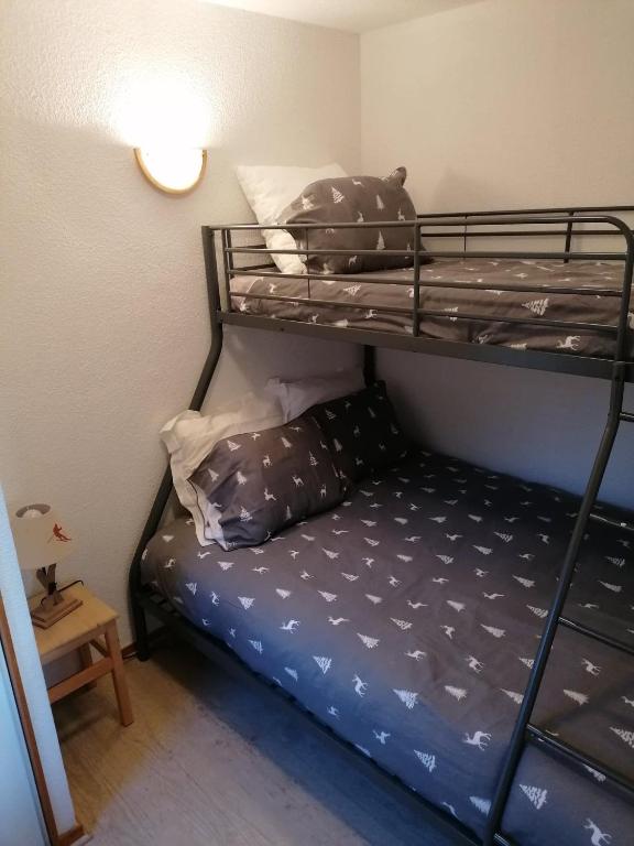 Appartement cosy 27 m2 ideal 5 personnes appartement pied des pistes 6