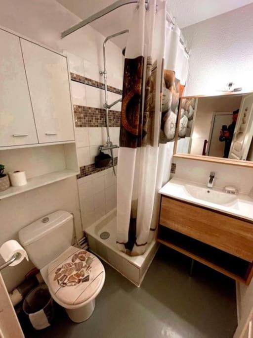 Appartement de 32m² au coeur de la Joue du Loup appartement pied des pistes 2