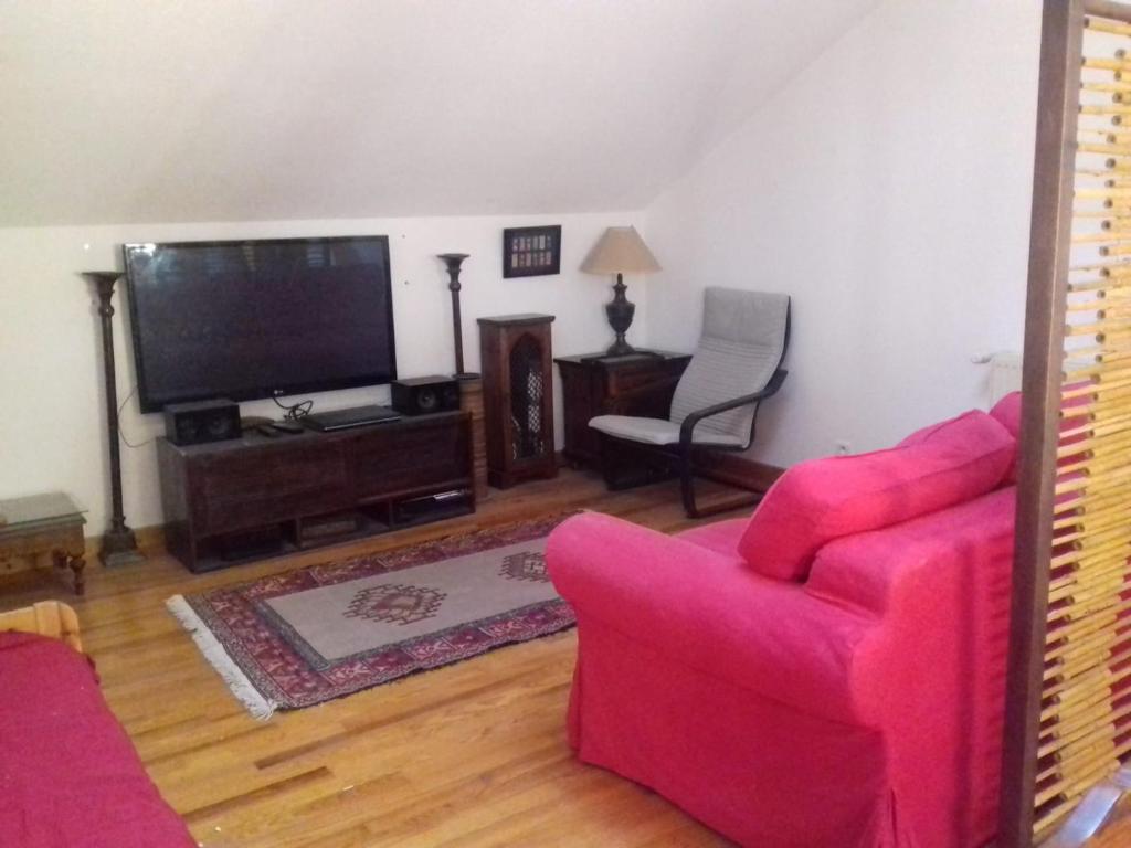 Appartement en loft 50m2 dans maison avec chambre en mezzanine et canapes lits dans salon appartement pied des pistes 5