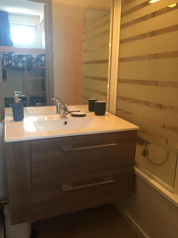 Appartement pied des pistes 4 a 6 pers Les Deux Alpes appartement pied des pistes 2