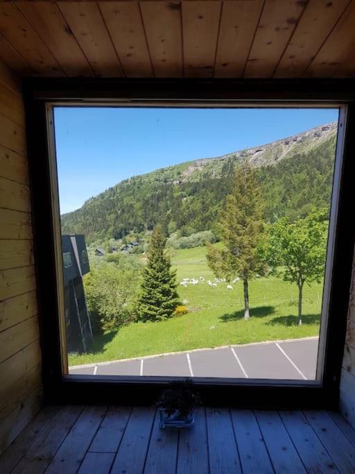 Appartement spacieux au coeur du massif du Sancy appartement pied des pistes 13