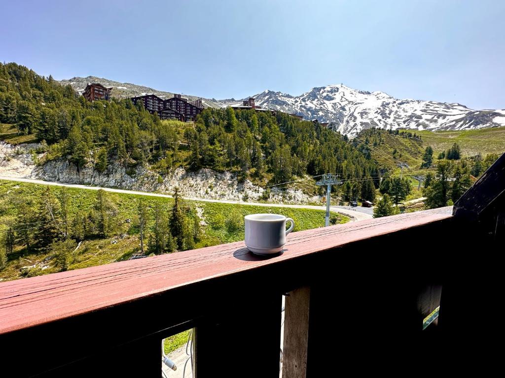 Appartement style chalet 5 vue Mont Blanc Arc 1950 appartement pied des pistes 15