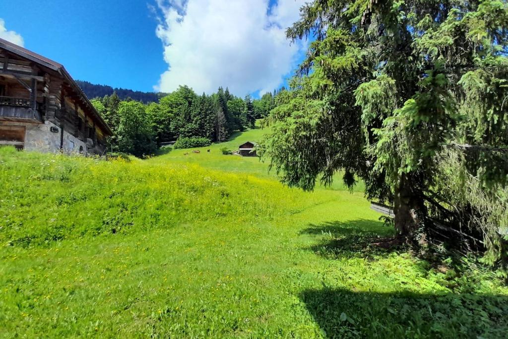 Appartement sur les PISTES pour 6 a La Clusaz appartement pied des pistes 11