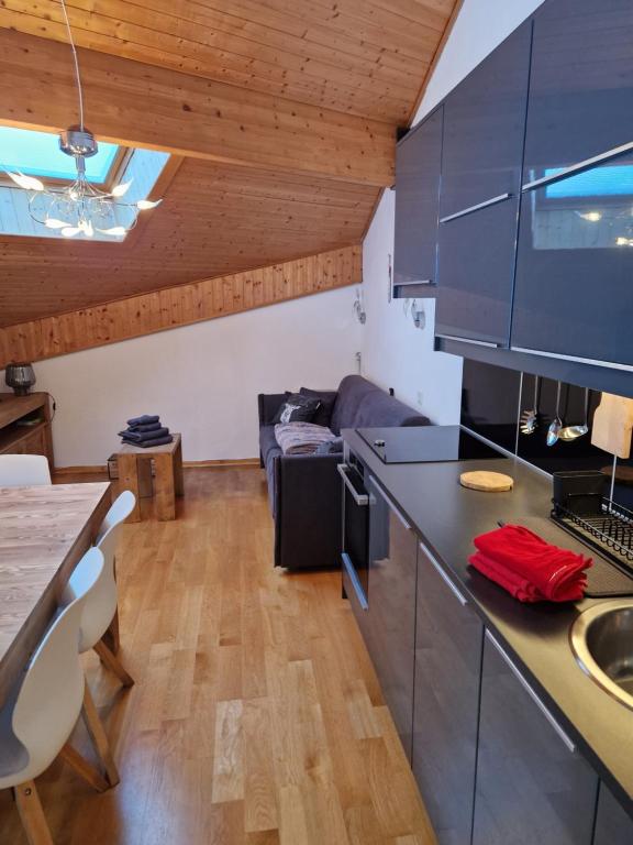 Appartement tout confort montagne et lac Leman appartement pied des pistes 12