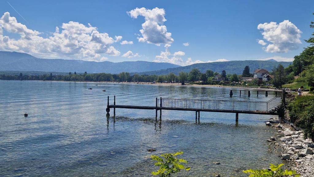 Appartement tout confort montagne et lac Leman appartement pied des pistes 15