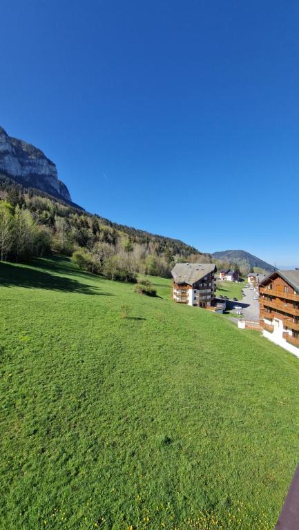 Appartement tout confort montagne et lac Leman appartement pied des pistes 5