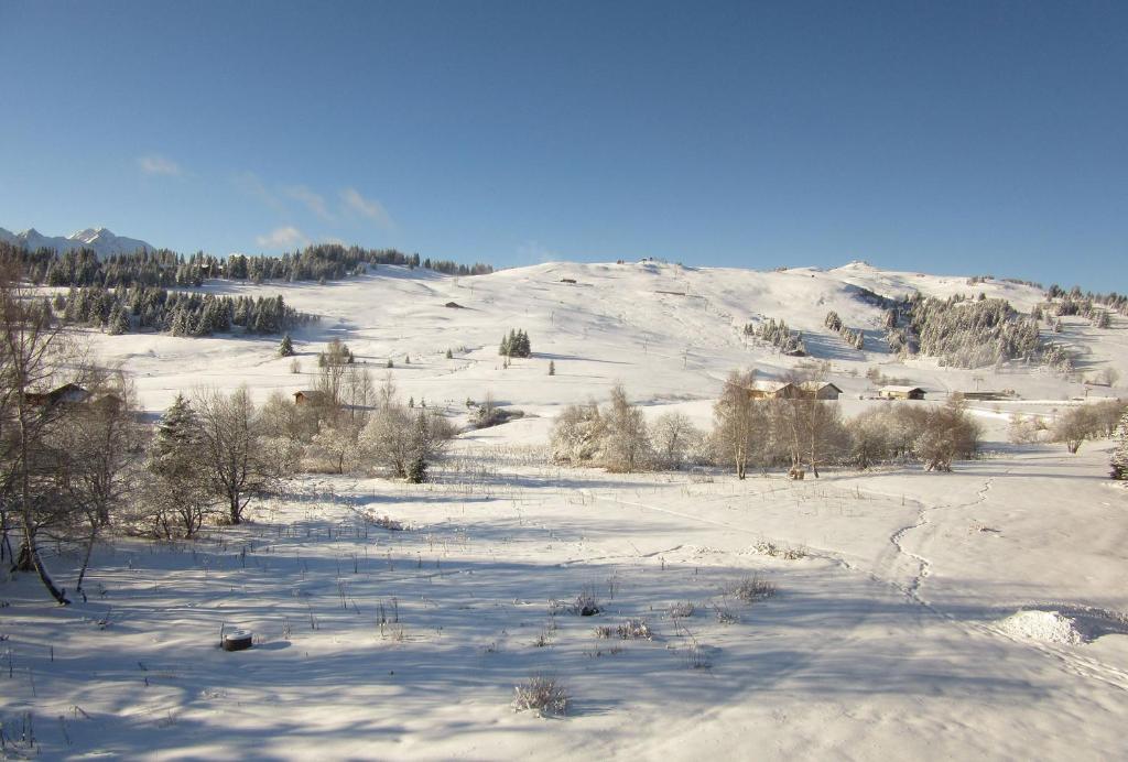Appt 45 pers. Les Saisies front de neige appartement pied des pistes 8