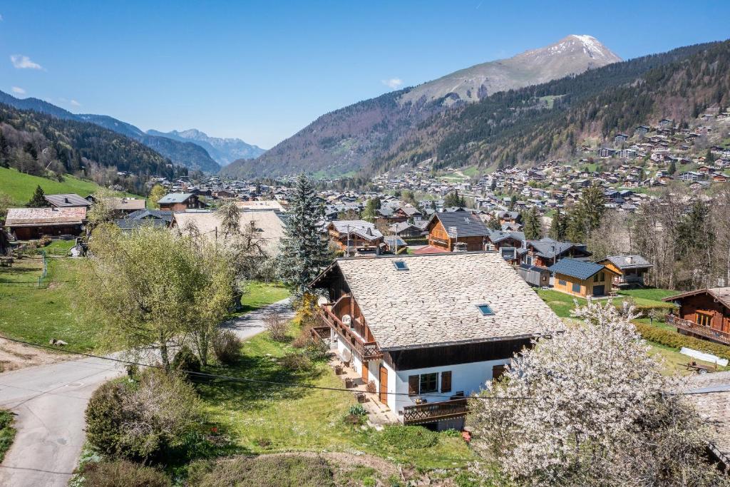 Apt Chenives 1 Morzine appartement pied des pistes 18