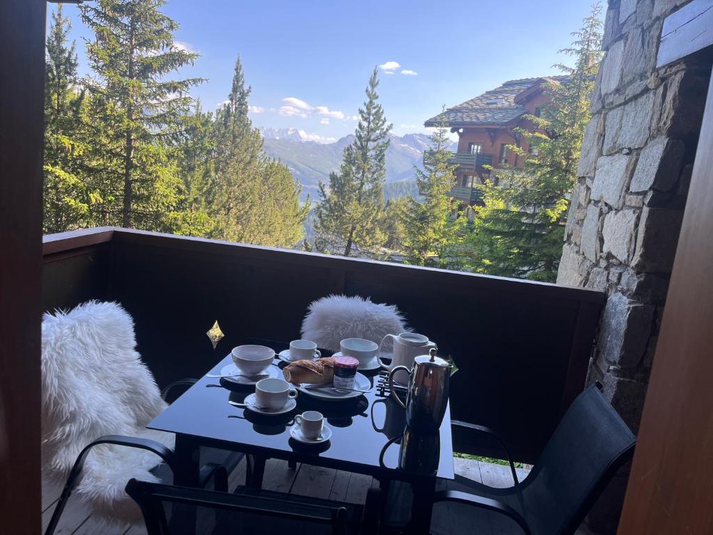 Arc 1950 Ski in Ski out and Spa Newly refurbished 153 Sources De Marie 2 bedroom 2 bathroom Sleeps 4 6 Mont Blanc view from every window Free WiFi appartement pied des pistes 17