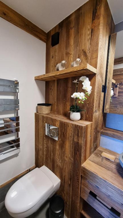 Arcs 1950 Appartement Luxe type chalet 5 a 7 personnes Vue imprenable sur le Montblanc skis aux pieds appartement pied des pistes 2