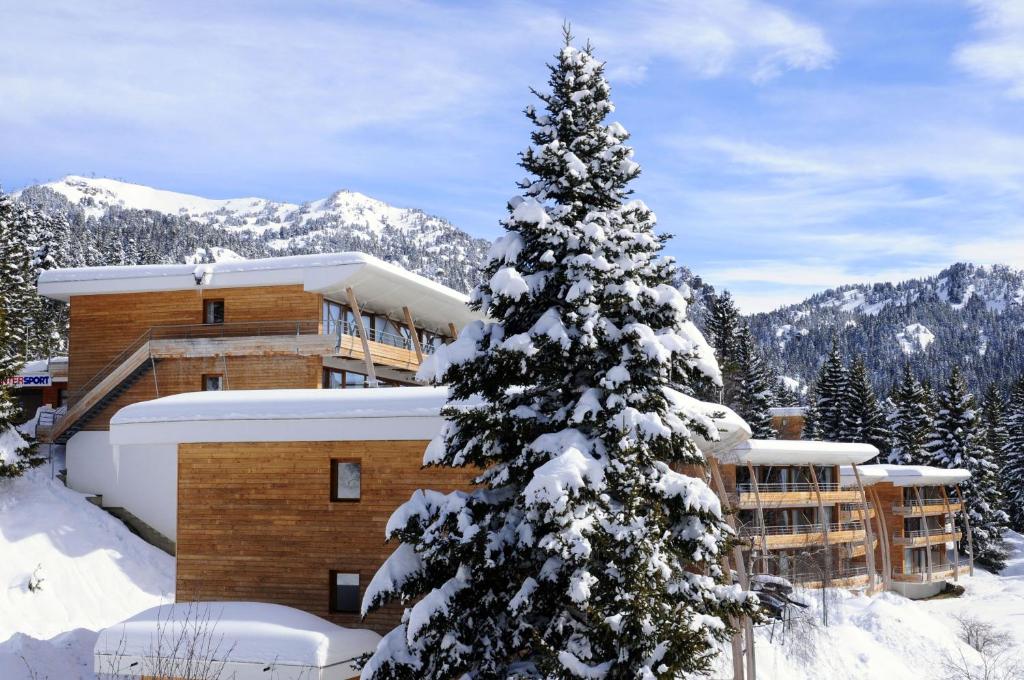 appartement au pied des pistes Au pays des marmottes Appartement 6 personnes plein sud sans vis à vis avec terrasse