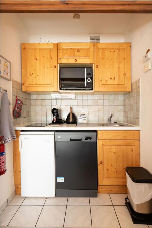 Aux pieds des pistes Les 2 Alpes appartement pied des pistes 18