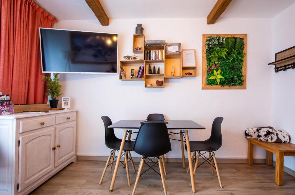 Aux pieds des pistes Les 2 Alpes appartement pied des pistes 4