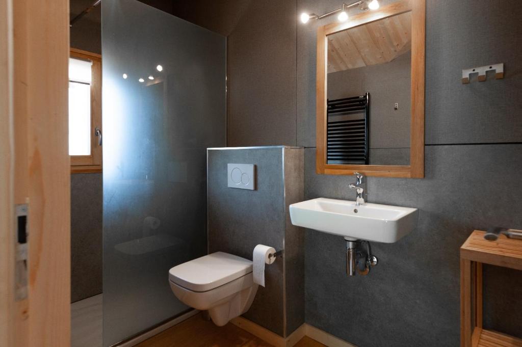 Balcons du Bettex hotel pied des pistes 15