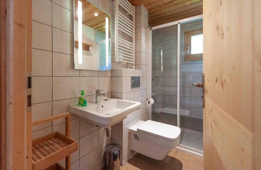 Balcons du Bettex hotel pied des pistes 2