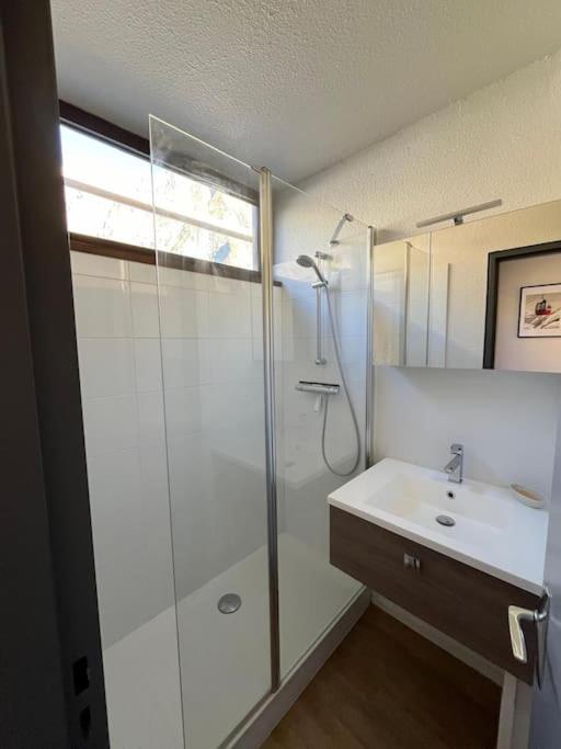 Beau 6 places au pied des pistes appartement pied des pistes 7