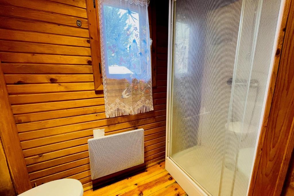 Beautiful chalet near the center of Briancon chalet pied des pistes 9