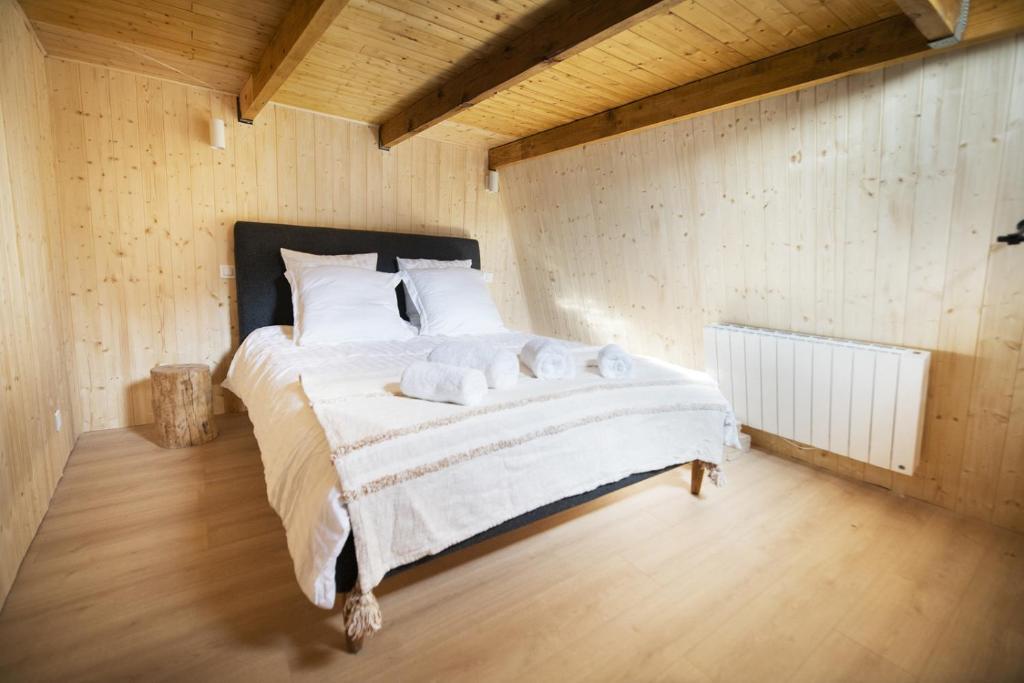 Bel appartement type chalet avec balneo et jardin appartement pied des pistes 1