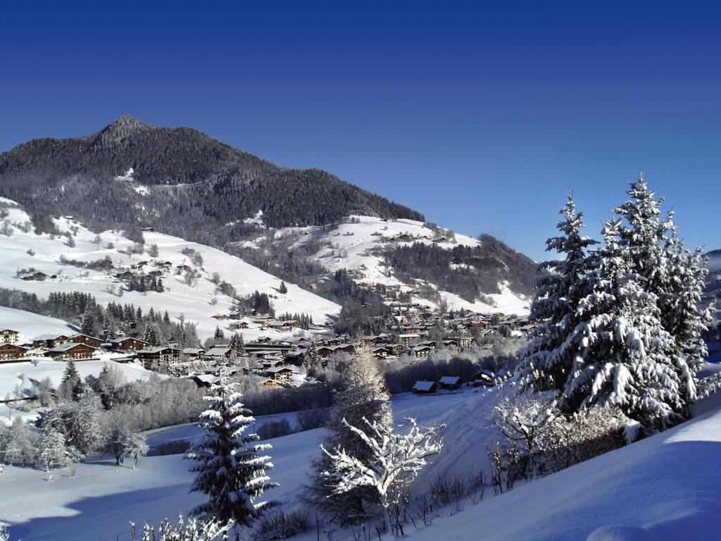 Belambra Clubs Praz sur Arly LAlisier hotel pied des pistes 1