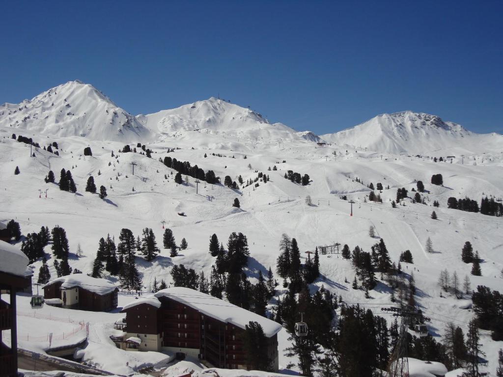Belle Plagne 1 Appart 6 pers du Dimanche au Dimanche Ski au pieds appartement pied des pistes 8