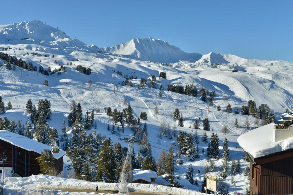 Belle Plagne Premium appartement pied des pistes 8