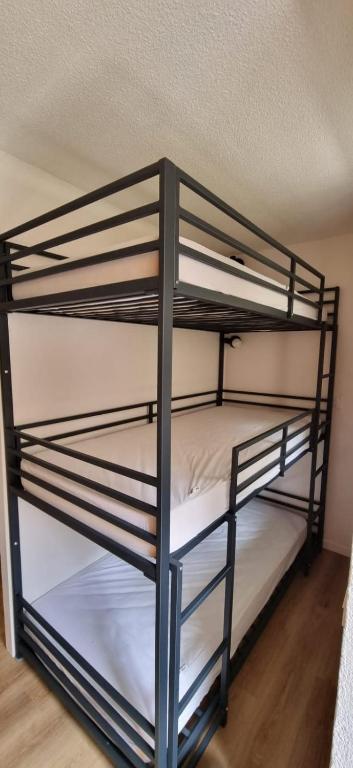 Belle Plagne appartement pour 5 personnes appartement pied des pistes 1