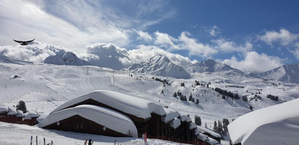 Belle Plagne appartement pour 5 personnes appartement pied des pistes 12