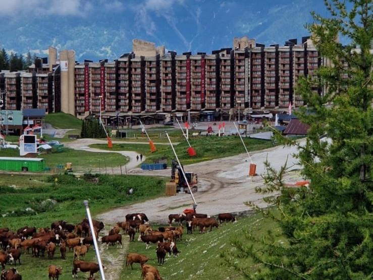 Belle Plagne appartement pour 5 personnes appartement pied des pistes 4