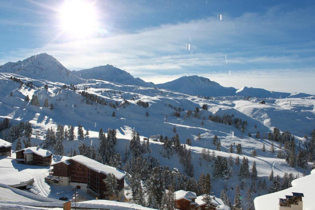 Carene Belle plagne 8 personnes appartement pied des pistes 19