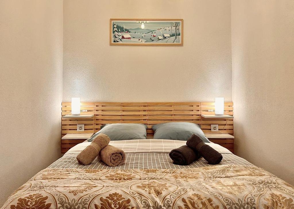 Carlas Residences Le Margeriaz appartement pied des pistes 14