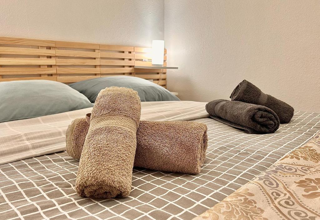 Carlas Residences Le Margeriaz appartement pied des pistes 15