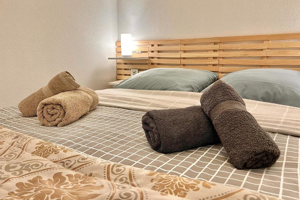 Carlas Residences Le Margeriaz appartement pied des pistes 17