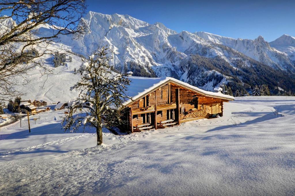 Chalet Capieu Le Barn OVO Network appartement pied des pistes 19