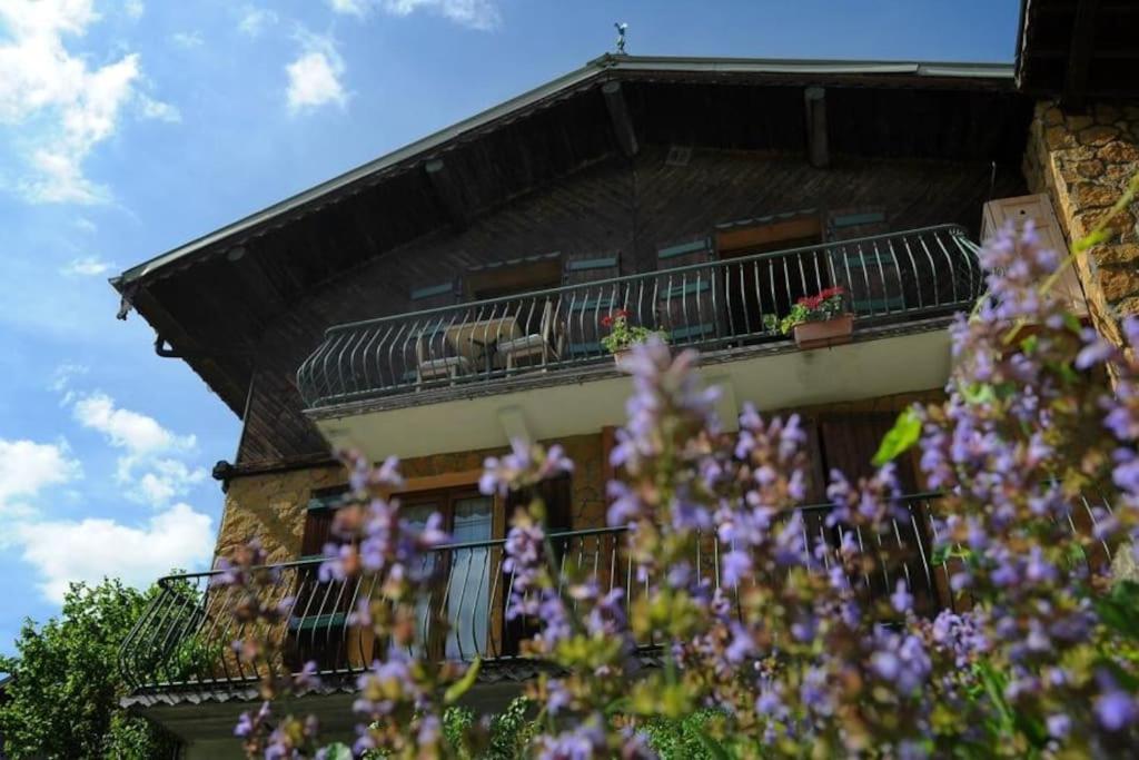 Chalet Genepi appartement pied des pistes 12