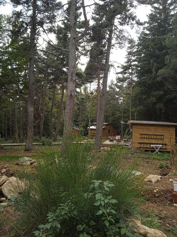 Chalet Hibou 1 couchage en 140 Domaine de la Mamounette gite pied des pistes 19