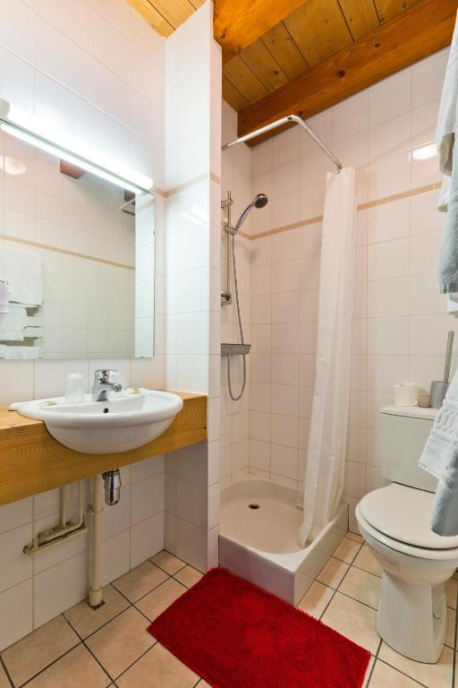Chalet Hotel Aiguille Blanche Logis hotel pied des pistes 2