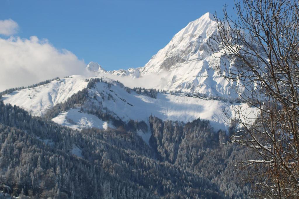 Chalet Hotel Le Mont Bisanne hotel pied des pistes 14