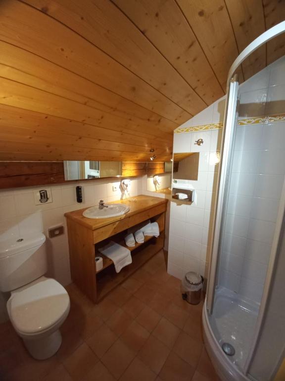 Chalet Hotel Le Mont Bisanne hotel pied des pistes 2