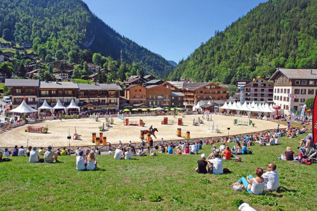 Chalet Hotel du Borderan hotel pied des pistes 4