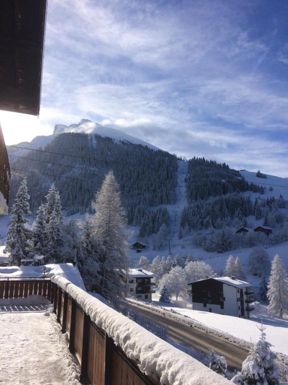 Chalet Hotel du Borderan hotel pied des pistes 8