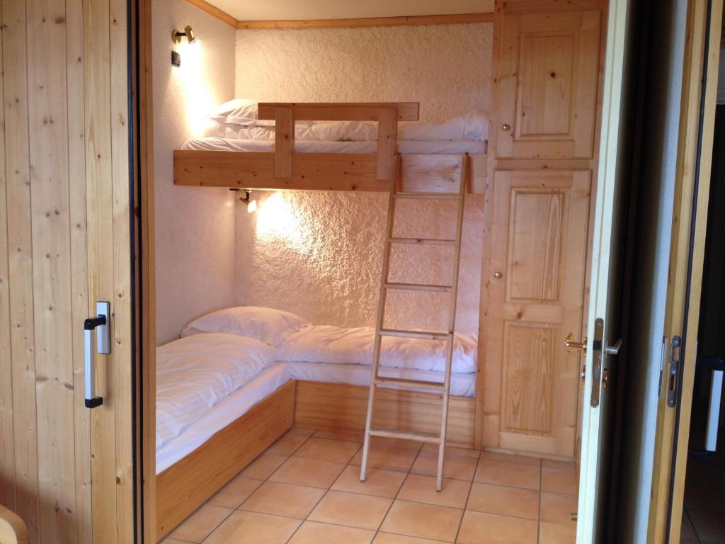 Chalet Lafarge appartement pied des pistes 14
