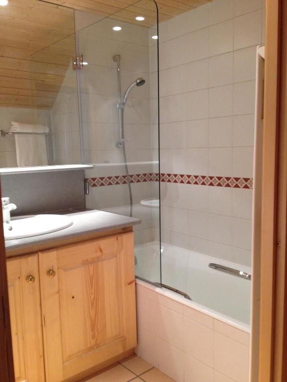Chalet Lafarge appartement pied des pistes 2