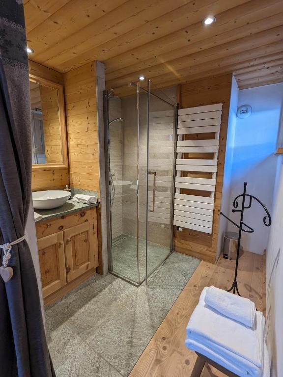 Chalet Le Lodze Pieds des pistes appartement pied des pistes 7
