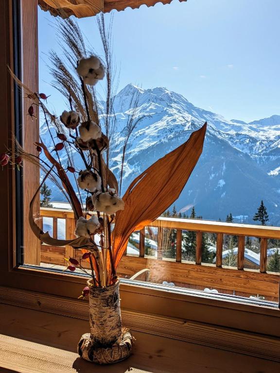 Chalet Le Lodze Pieds des pistes appartement pied des pistes 9