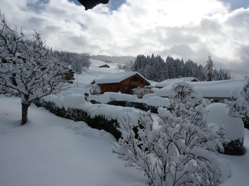 Chalet Le Starfu appartement pied des pistes 9