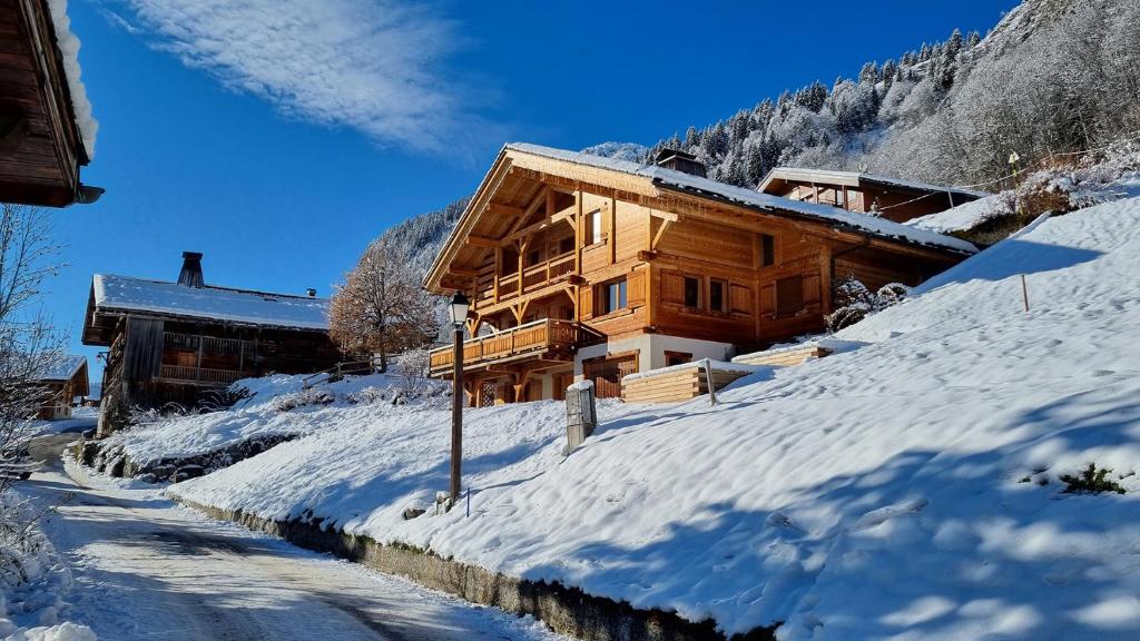 Chalet Les Bognettes 10 personnes chalet pied des pistes 10