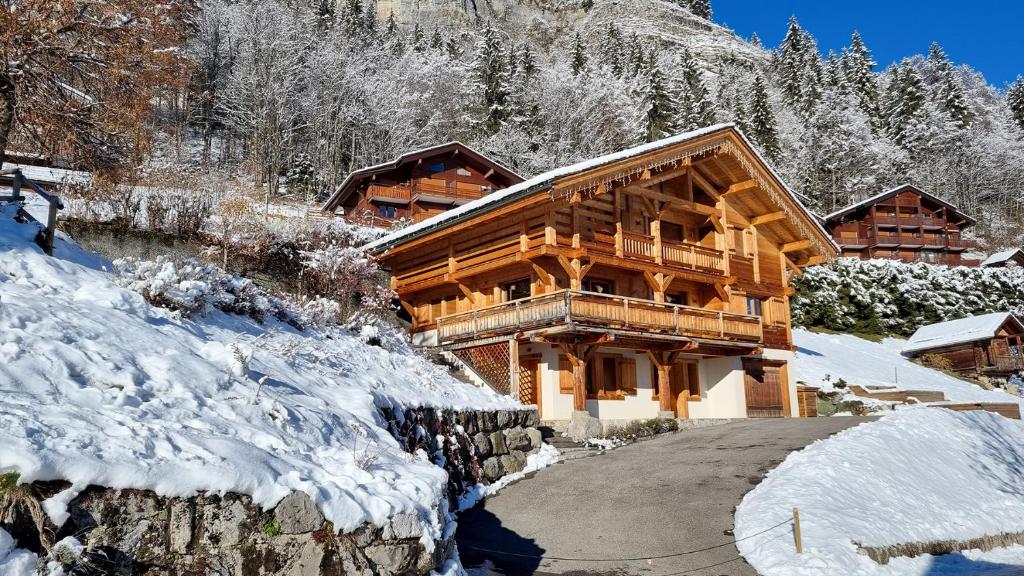 Chalet Les Bognettes 10 personnes chalet pied des pistes 8