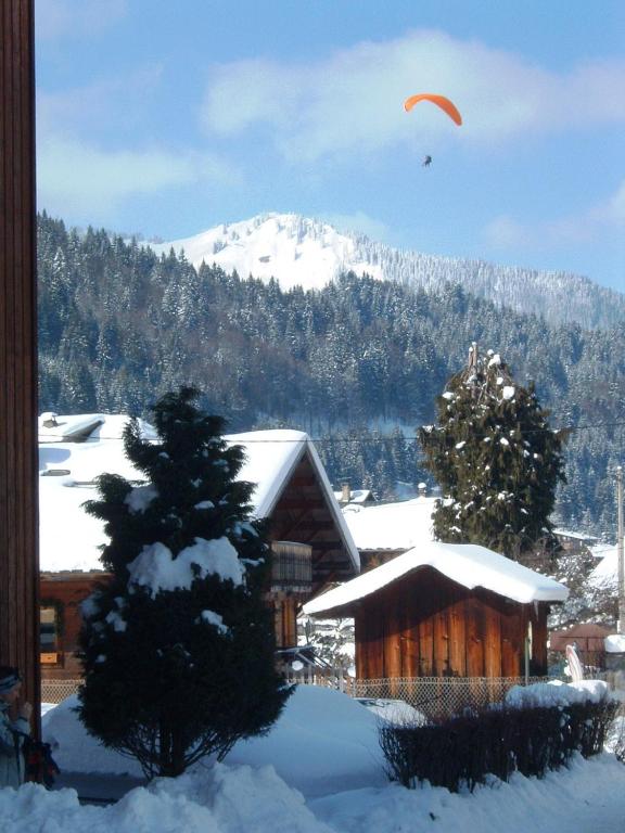 Chalet Leslie appartement pied des pistes 16